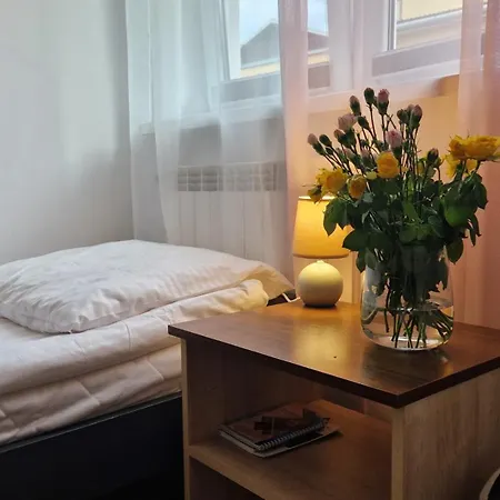 Apartament W Centrum Piwnicznej Piwniczna-Zdroj Exteriér fotografie