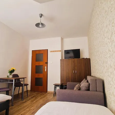 Apartament W Centrum Piwnicznej Piwniczna-Zdroj Exteriér fotografie
